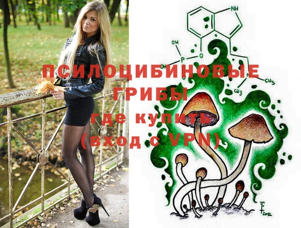 прущий лед Алексин