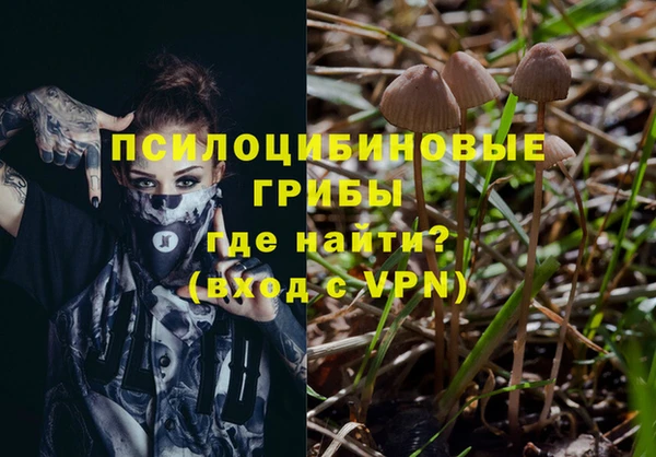 гидра Алзамай