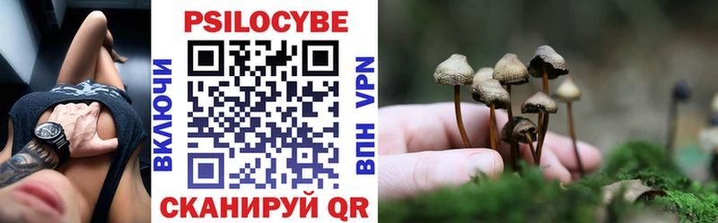 купить закладку  Ардон  Галлюциногенные грибы мицелий 